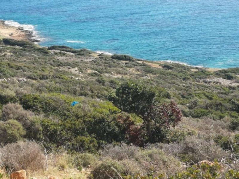 Plaka bei Elounda Kreta, Plaka Elounda: Bauland direkt am Meer zu verkaufen Grundstück kaufen